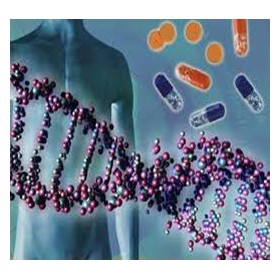 Socal, Ethical, and Human Issues: Standard: BCS-CA1-1